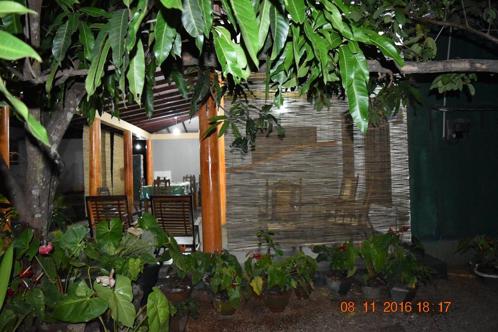 Sigiri Dilu Villa Сігірія Екстер'єр фото